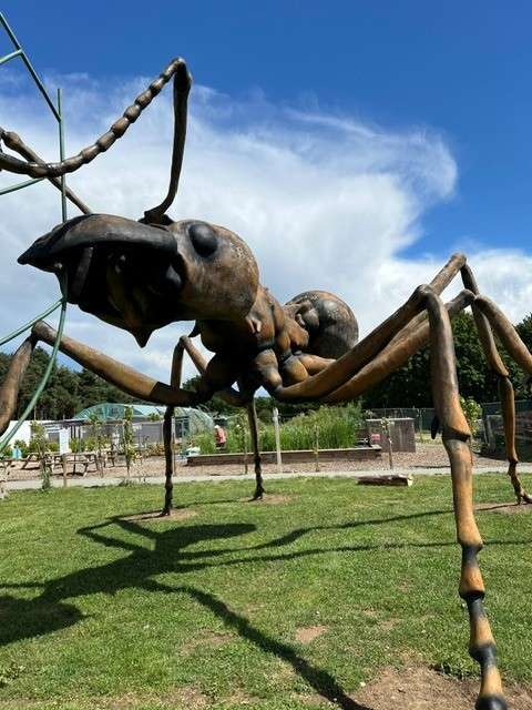 Large ant sculpture standing on a grassy area at The Bug Parc in Lenwade, with blue sky and visitor pathways visible in the background.