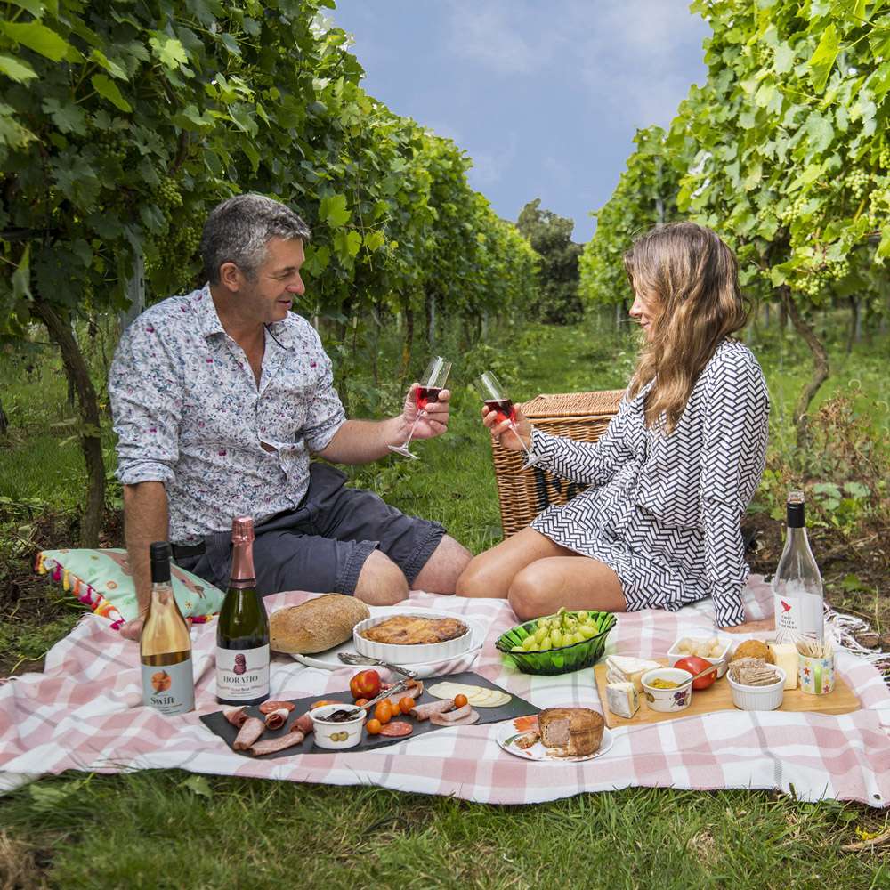 Visitors enjoying a picnic among vineyard rows with local food and wine at Chet Valley Vineyard.