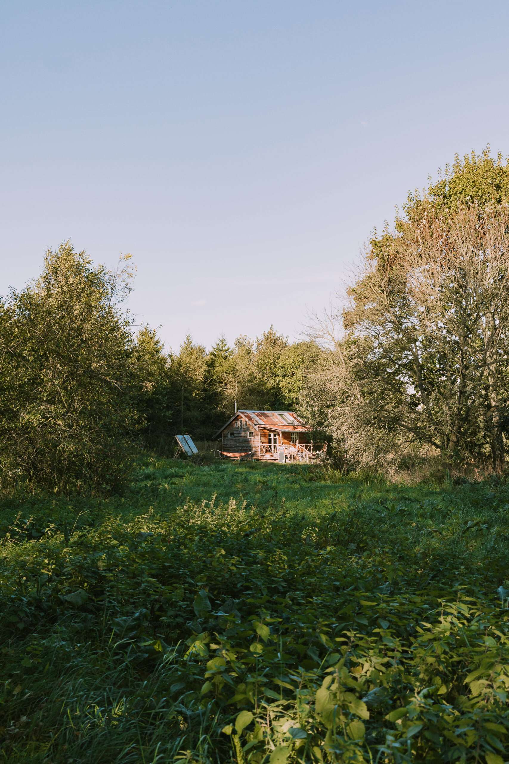 Secluded cabin surrounded by autumn woodland and open grassland.