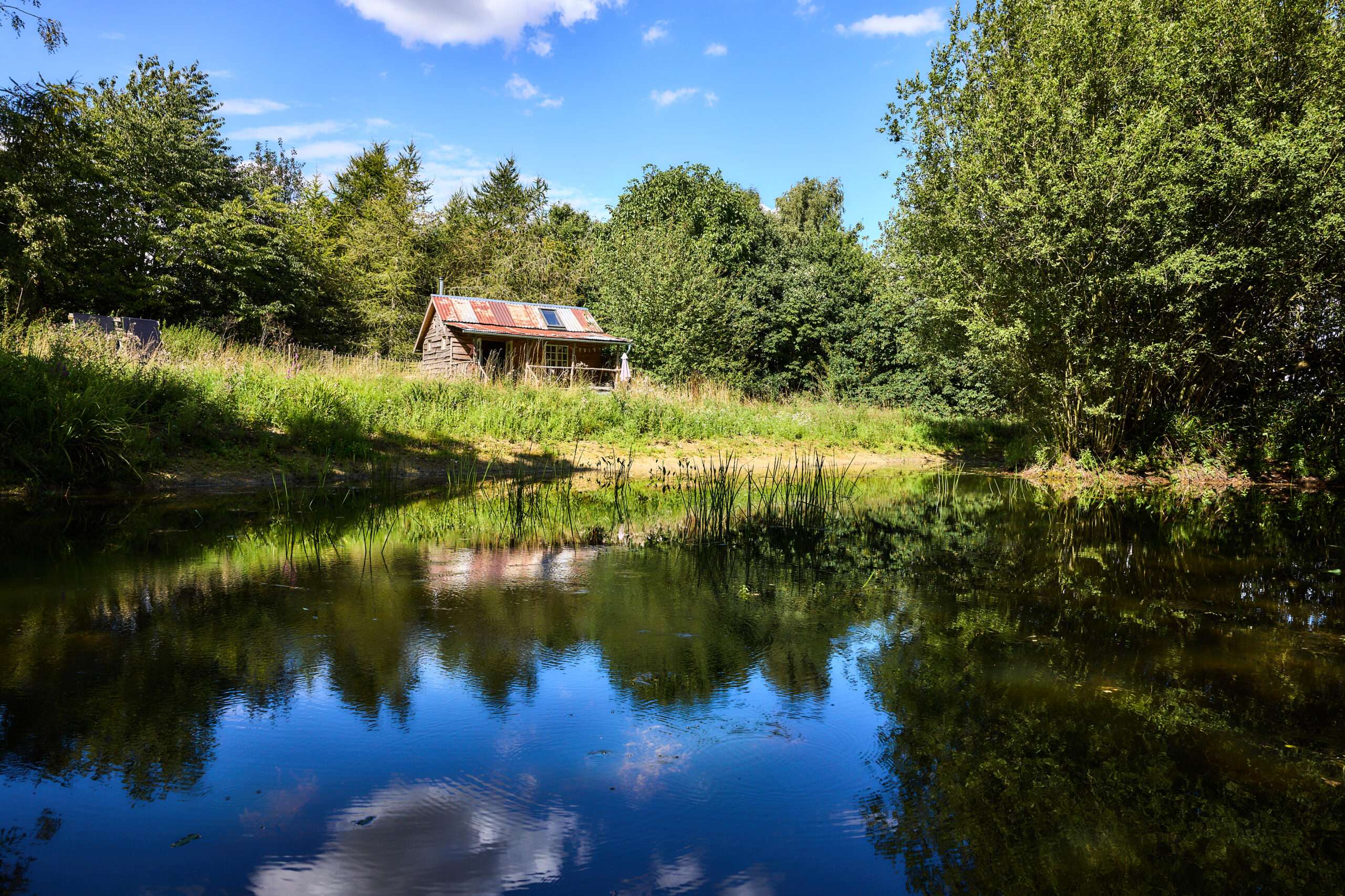 Albion Nights countryside cabin beside a peaceful pond surrounded by trees and grassland.