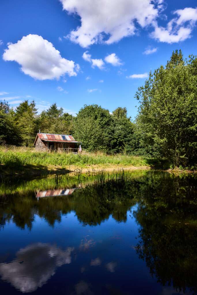 Countryside cabin beside a peaceful pond surrounded by trees and grassland.