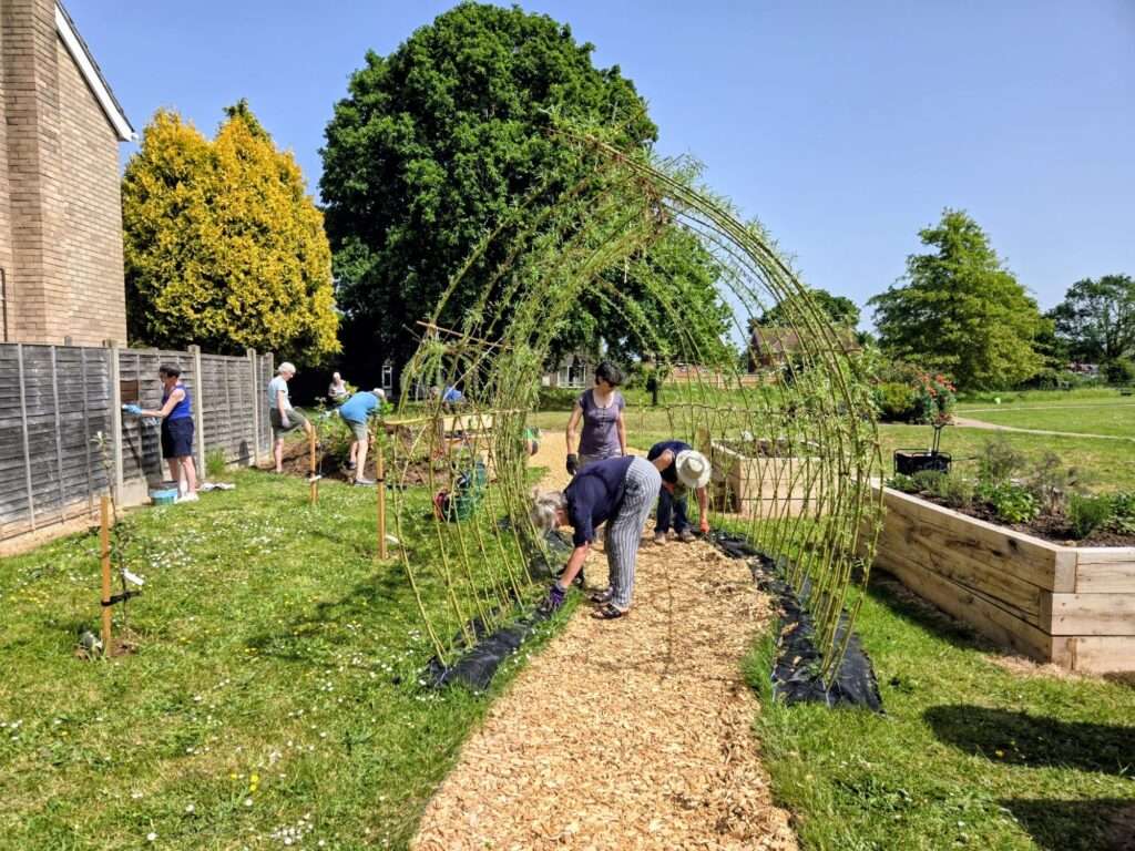Visitors walking through a living willow archway in a community garden.