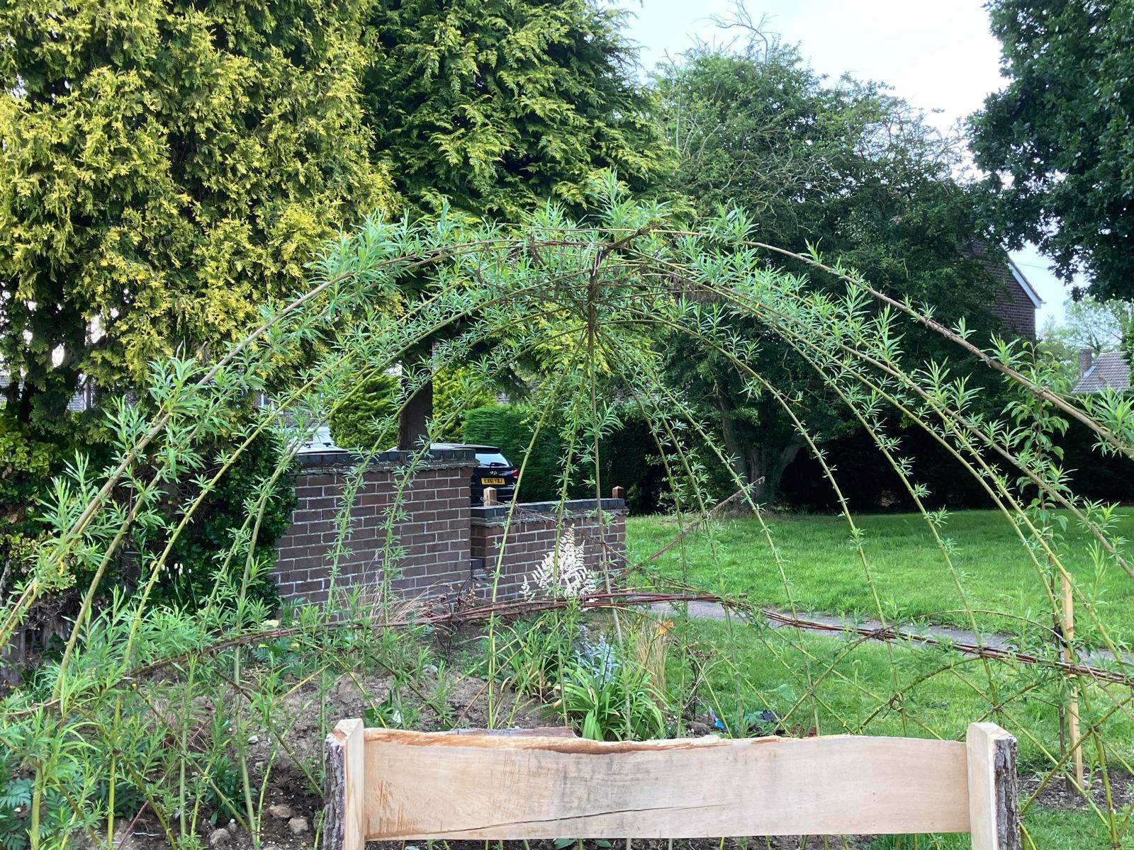 Curved willow structure covered in green foliage within a landscaped garden setting.