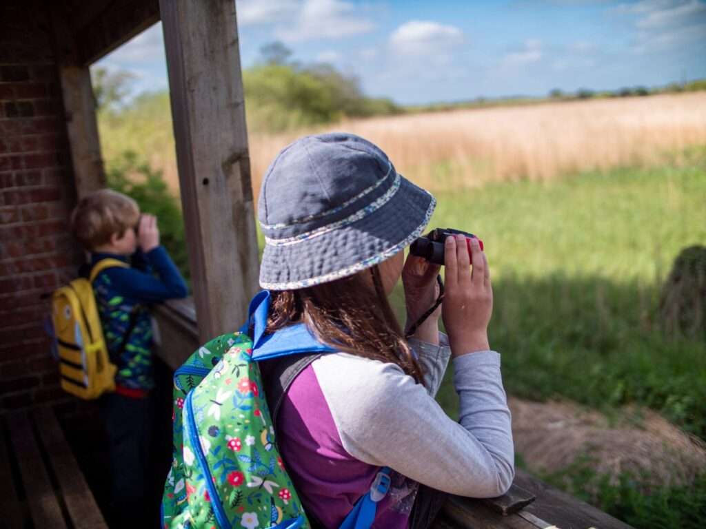 Visitor using binoculars to watch wildlife across open reedbeds and wetlands at Strumpshaw Fen