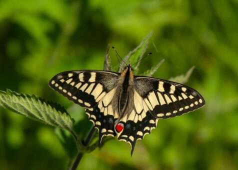 Garden Centres and Farm Shops